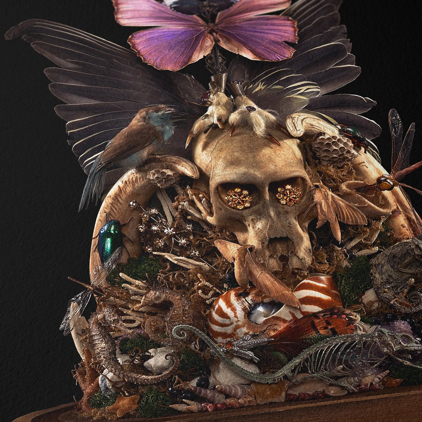 Emerging The Chrysalis of Being