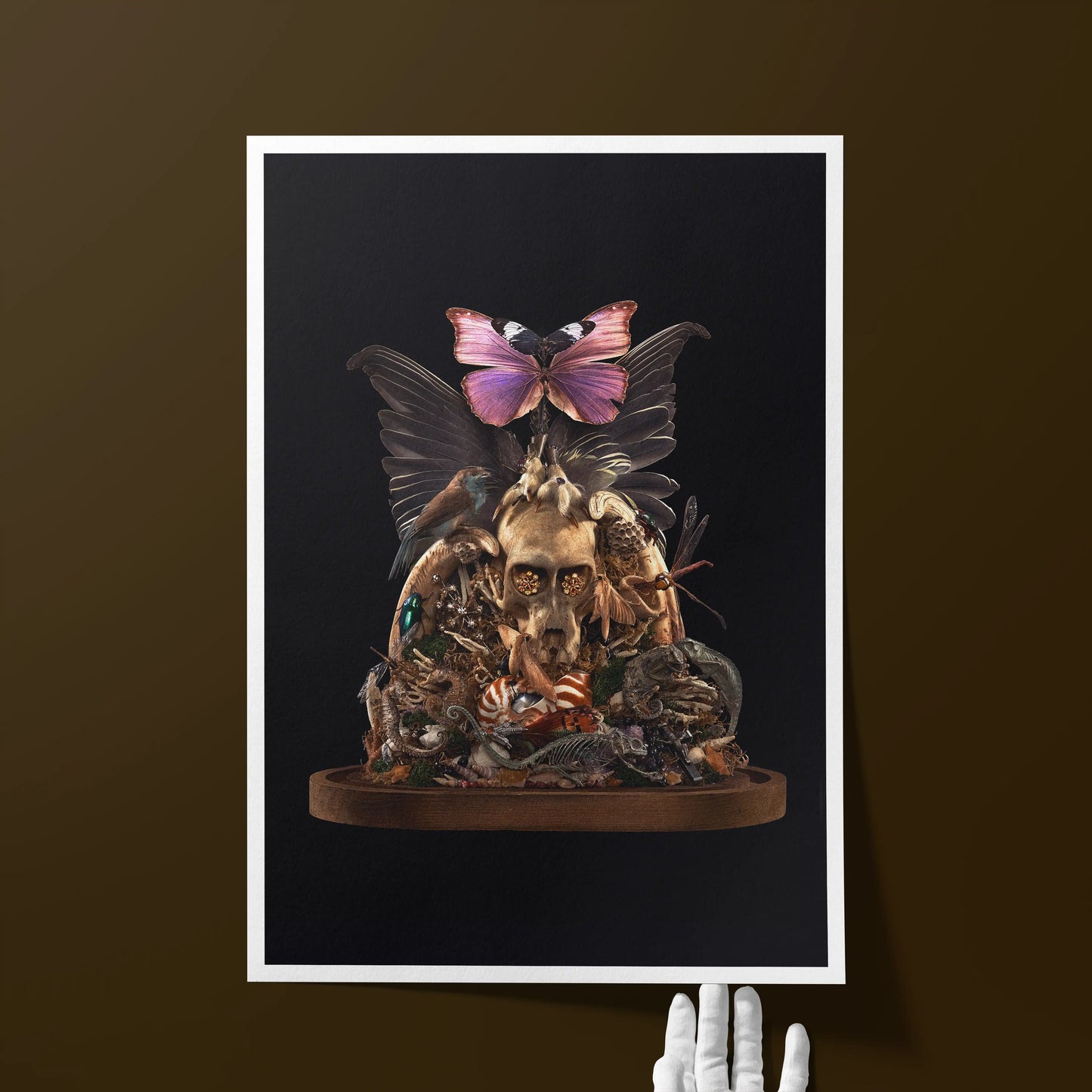 Emerging The Chrysalis of Being