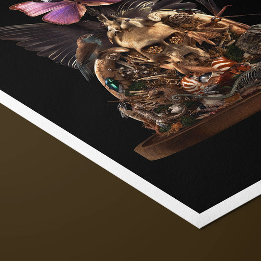 Emerging The Chrysalis of Being