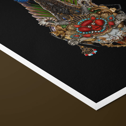 Enigma Of The Night Sun